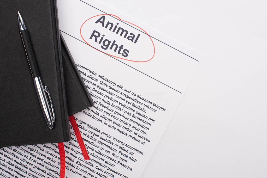 πάνω όψη του μαύρου σημειωματάρια και στυλό για τα δικαιώματα των ζώων επιγραφή σε λευκό φόντο - Φωτογραφία, εικόνα
