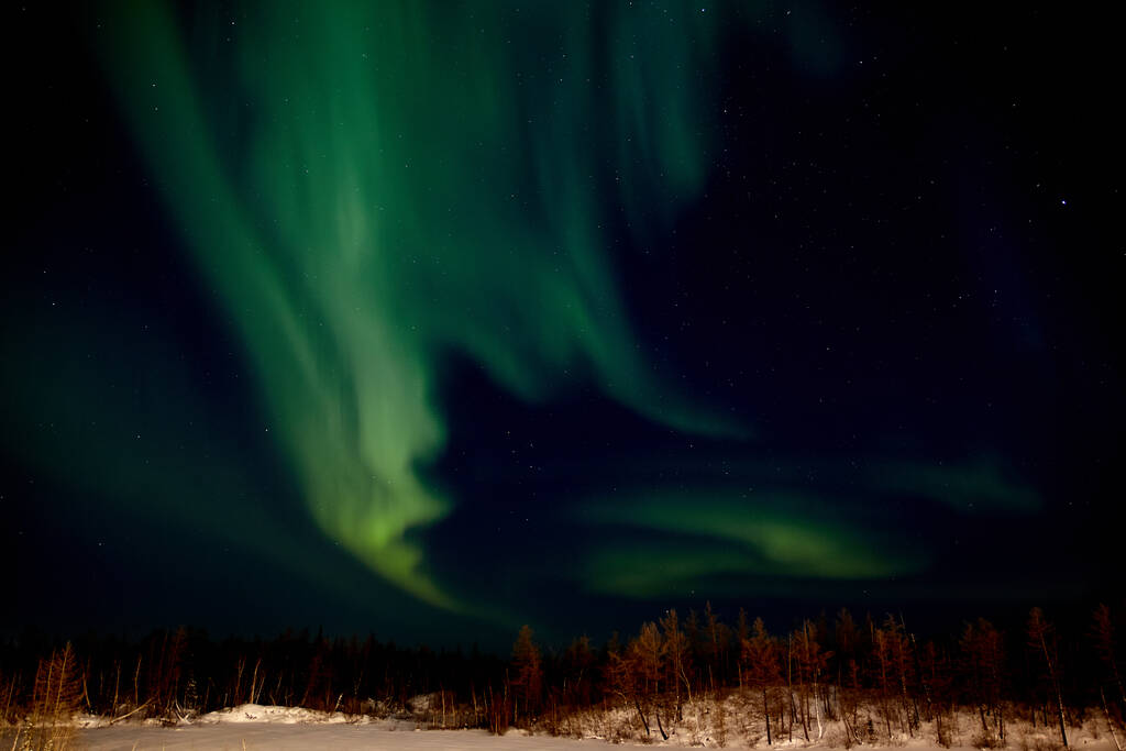 Aurora Borealis and constellations, Norilsk, November 23, 2019 - Fotoğraf, Görsel