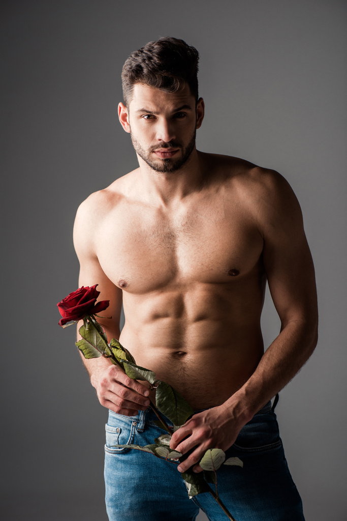 sexy bez košile muž v džínách držení růže květ na šedé - Fotografie, Obrázek