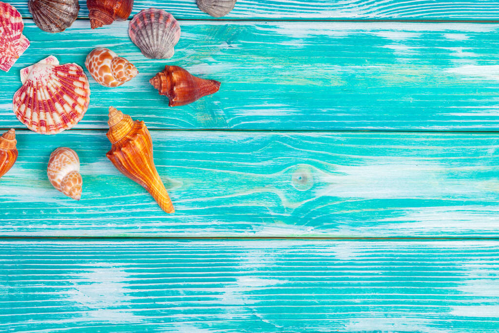 Diferentes conchas marinas sobre fondo de madera de color - Foto, imagen