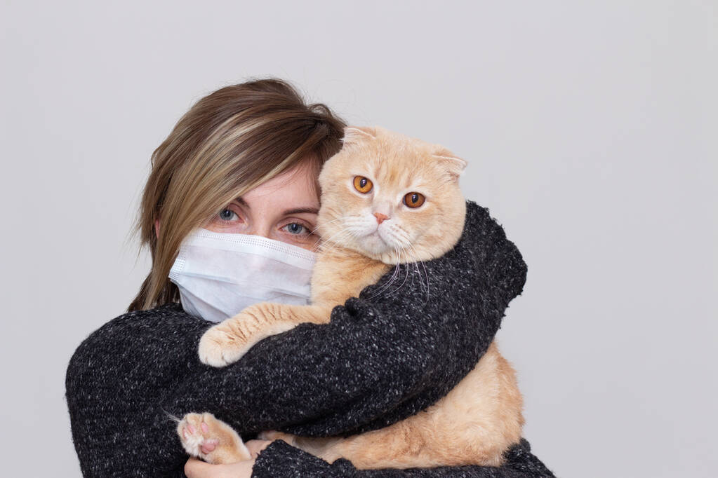 Χαριτωμένο κορίτσι με μια γάτα, που φοράει μάσκα υγείας, απομονωμένη στο παρασκήνιο, επιδημία γρίπης, σκόνη Αλλεργία, προστασία από ιούς. Έννοια της ατμοσφαιρικής ρύπανσης στην πόλη, close- up - Φωτογραφία, εικόνα