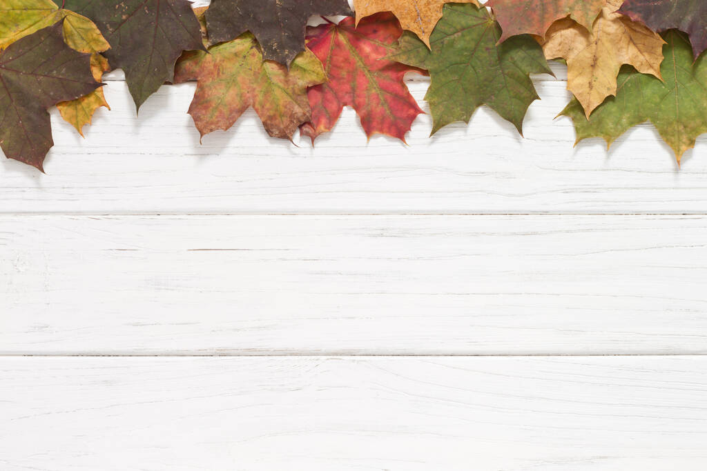 Autumnal background with leaves - Photo, Image