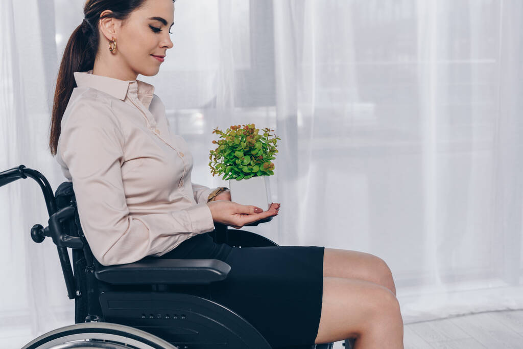 Minder valide rekruteerder met bloempot met plant op rolstoel op kantoor - Foto, afbeelding