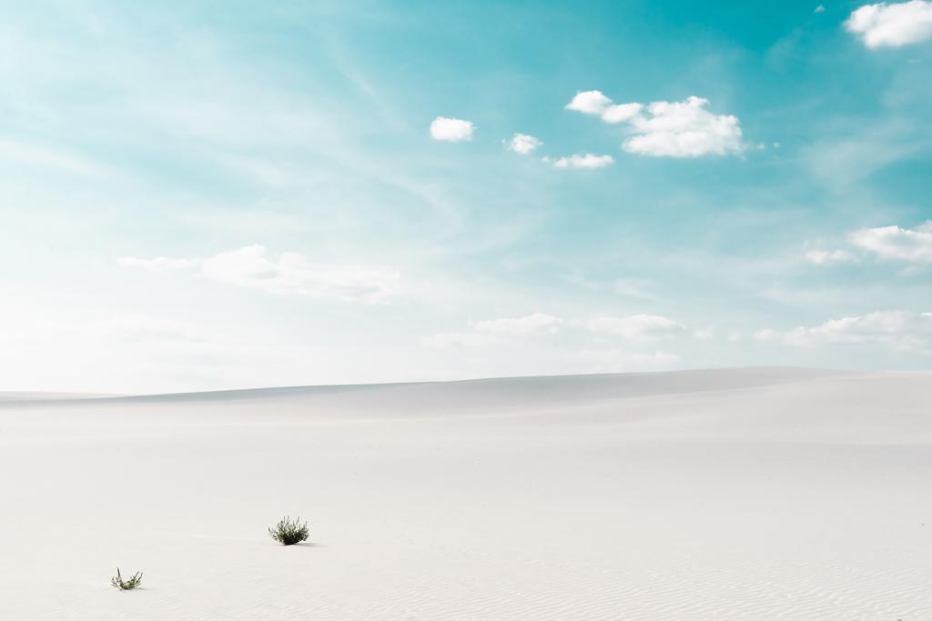 belle plage de sable blanc avec des plantes et ciel bleu avec des nuages blancs
 - Photo, image
