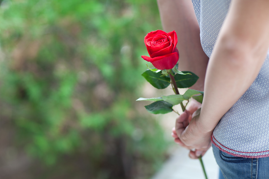 троянда в руках
 - Фото, зображення