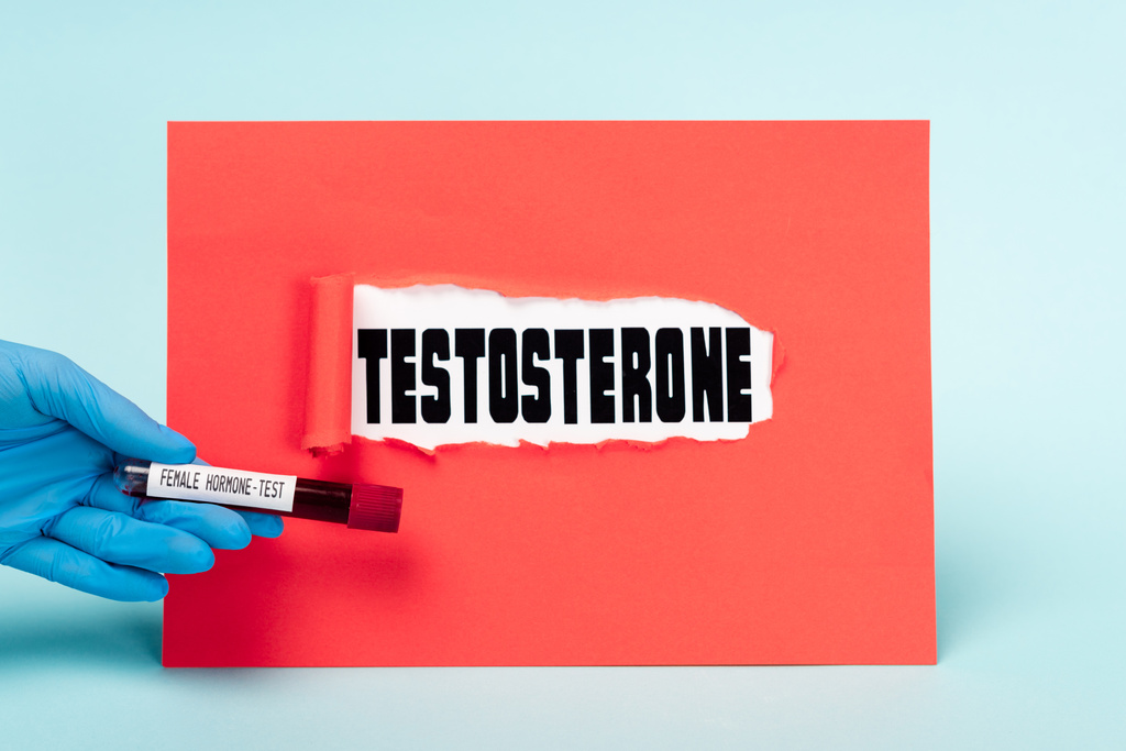 Oříznutý pohled na lékaře držení zkumavky s krevním vzorkem ženského hormonu v blízkosti testosteronu nápisy v díře z červeného papíru na modrém pozadí - Fotografie, Obrázek
