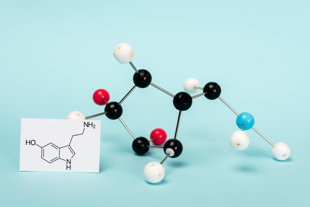 Molekulare Formel von Serotonin auf Karte nahe Hormonkonstruktion auf blauem Hintergrund - Foto, Bild