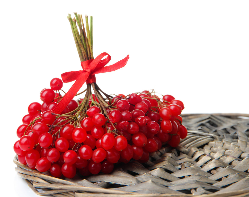 червоні ягоди калини ізольовані на білому
 - Фото, зображення