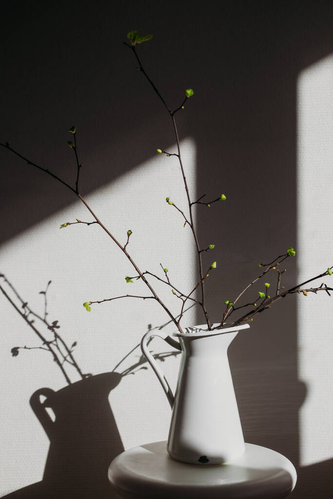 硬い光と影を持つ白い背景に白い花瓶に若い葉を持つ枝。モノクロームの概念 - 写真・画像