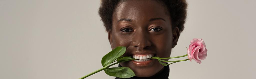 plano panorámico de alegre mujer afroamericana sosteniendo flor de eustoma en dientes aislados en gris
 - Foto, Imagen