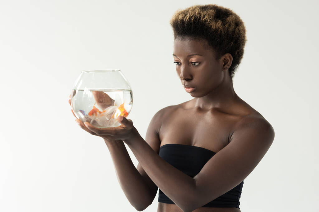 menina afro-americana segurando aquário com peixes isolados em cinza
 - Foto, Imagem