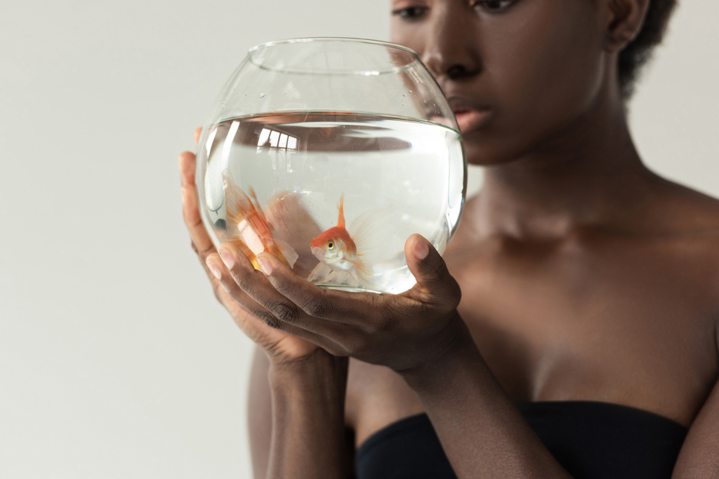 обрізаний вид афроамериканської дівчини, що тримає акваріум з рибою ізольовано на сірому
 - Фото, зображення