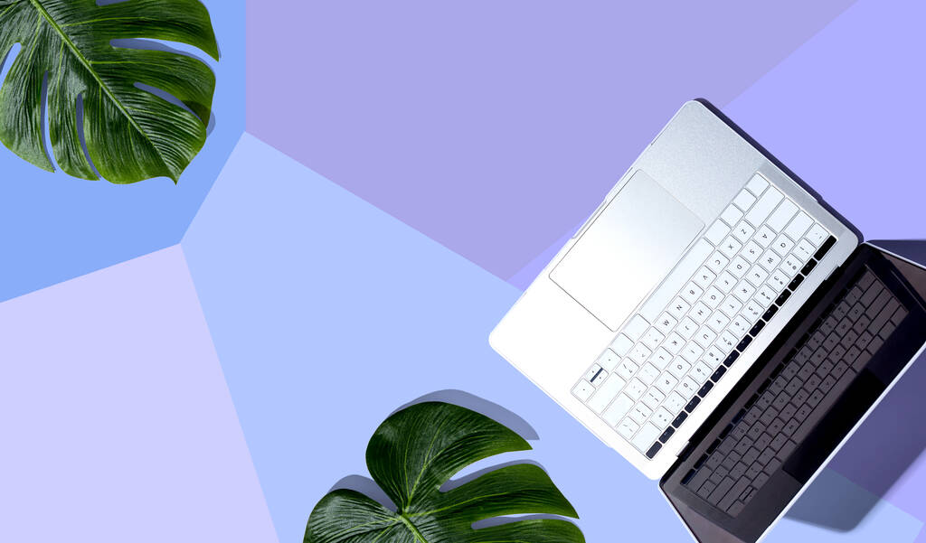 Laptop computer with tropical plants - Zdjęcie, obraz