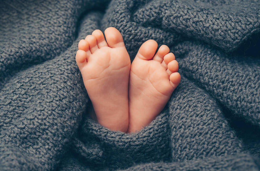Bebé recién nacido pies cubiertos de gris manta de punto
 - Foto, Imagen