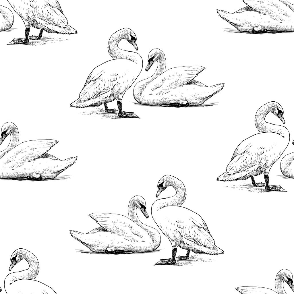 Fondo sin costuras de bocetos pares de cisnes blancos en la orilla del lago
 - Vector, Imagen