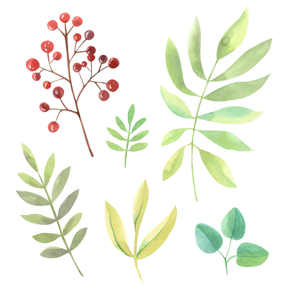 Klima akvarelových větviček s listy v zelených odstínech a větvičkami s červenými bobulemi. Kresleno ručně - Fotografie, Obrázek