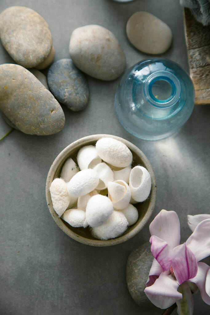 Spa en wellness. Natuurlijke massage stenen, zijderups cocon met magnolia bloem .Spa behandeling - Foto, afbeelding