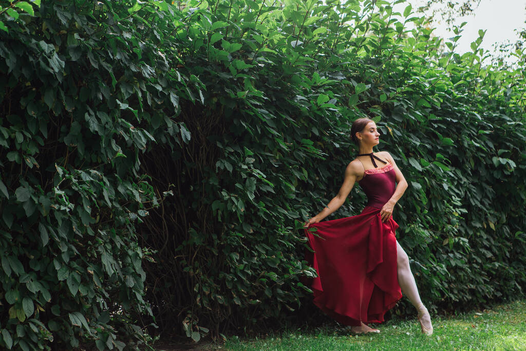 Mulher bailarina em vestido de balé vermelho dançando em sapatos pontiagudos no parque de outono ao lado da parede de arbustos. Bailarina de pé em bela pose de balé
 - Foto, Imagem