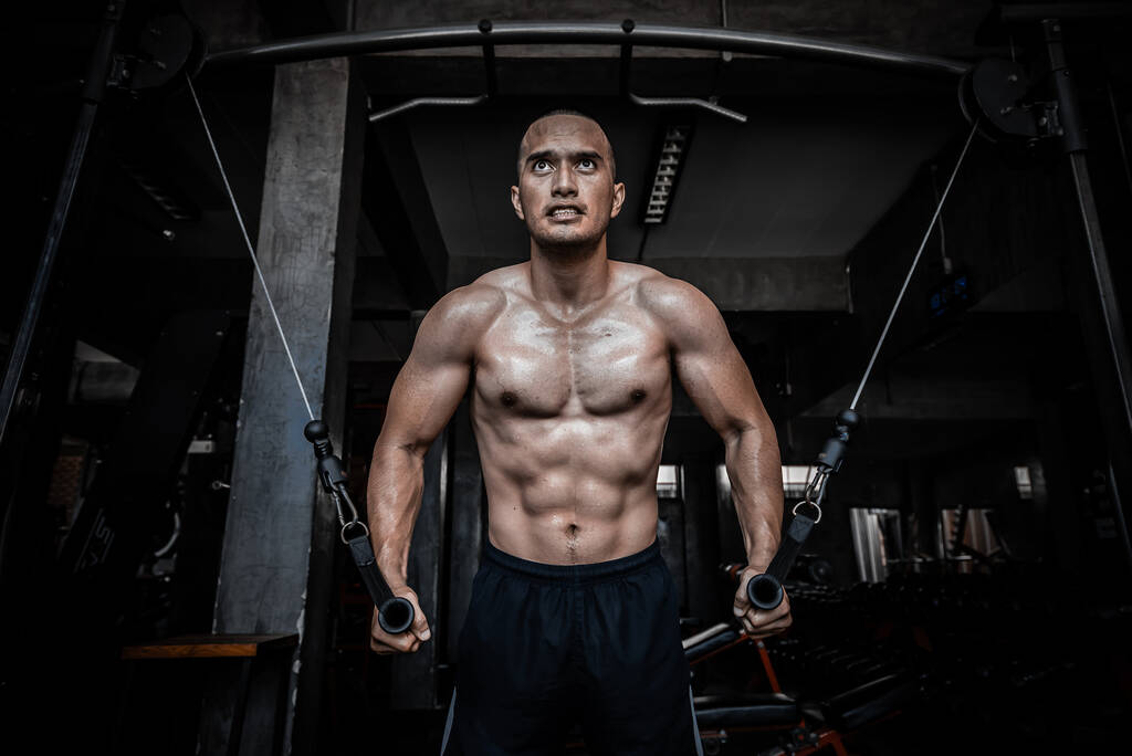 Retrato de hombre asiático gran músculo en el gimnasio, entrenamiento de peso corporal
 - Foto, Imagen