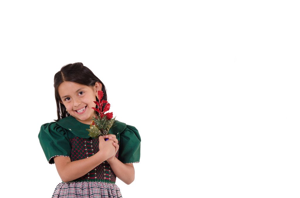 Милая девушка в зеленом рождественском платье
 - Фото, изображение