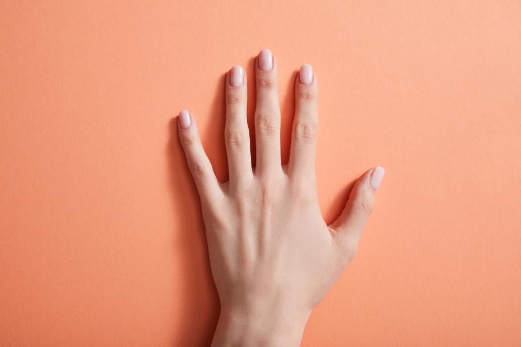 Vista recortada de la mano femenina con manicura en coral
 - Foto, imagen