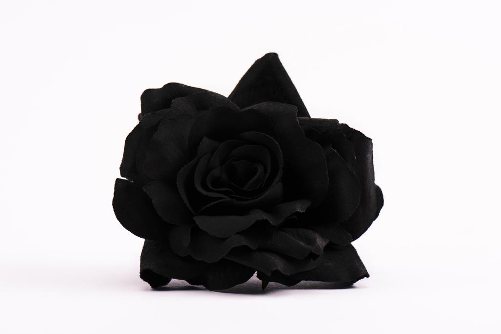 Schwarz blühende Rose auf Weiß mit Kopierraum - Foto, Bild