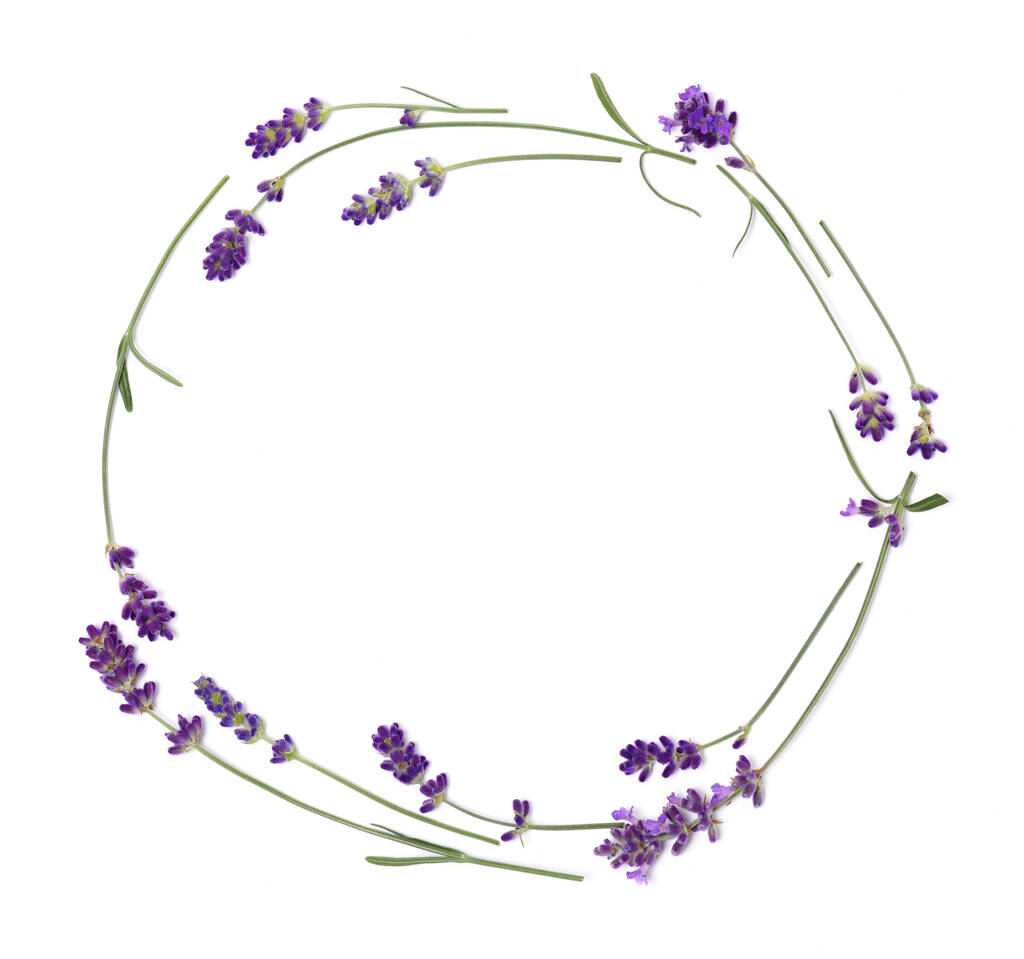 Věnec z levandulových květin izolovaných na bílém - Fotografie, Obrázek