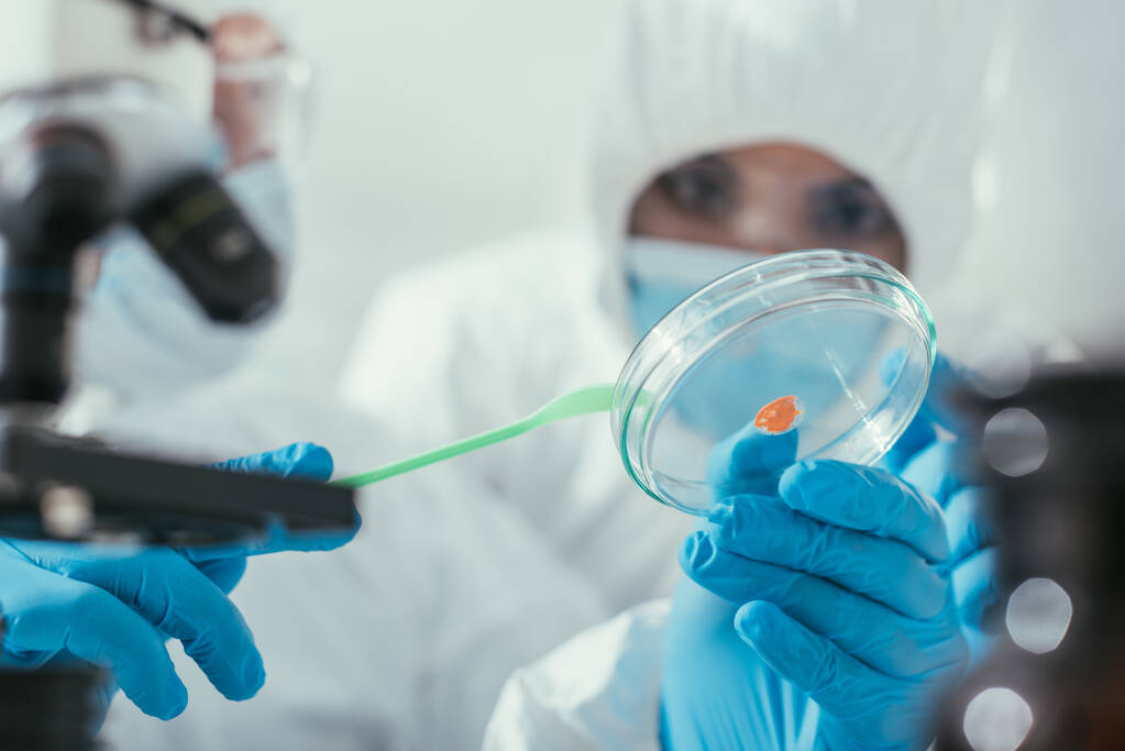 Ausgeschnittene Ansicht des Biochemikers mit Spachtel und Petrischale in der Hand und Biomaterial in der Nähe des Kollegen - Foto, Bild