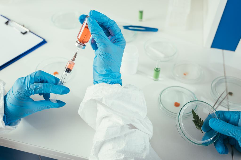 oříznutý pohled na biochemika, který užívá léky s injekční stříkačkou poblíž kolegy držícího Petriho misku se zeleným listem - Fotografie, Obrázek