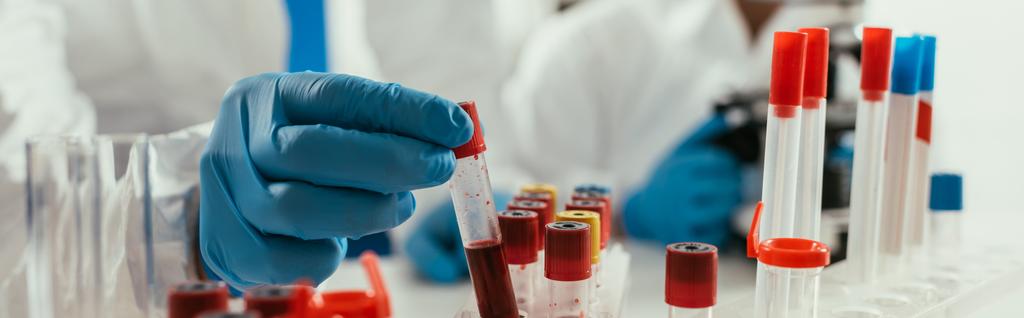 przycięty widok biochemika pobierającego probówkę z próbką krwi w pobliżu kolegi, zdjęcie panoramiczne - Zdjęcie, obraz