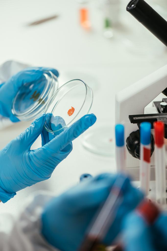 oříznutý pohled na biochemika držícího Petriho misky s biomateriálem v blízkosti kolegy - Fotografie, Obrázek
