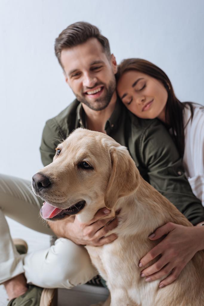 Selective focus of cute golden retriever sitting near positive young couple isolated on grey - Photo, Image