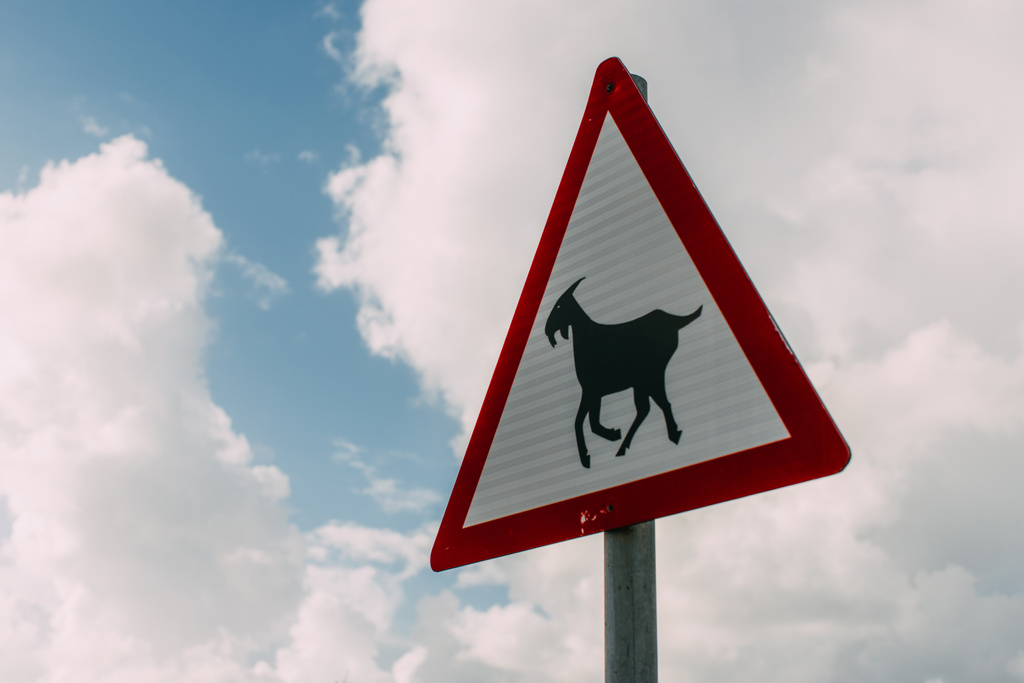 triangle goat warning sign against sky with clouds  - Photo, Image