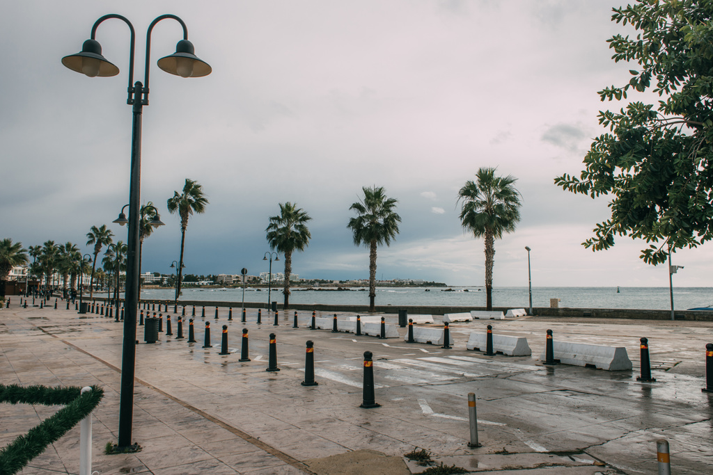 lámpara de calle cerca de palmeras verdes y el mar
  - Foto, Imagen