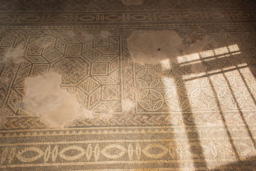 ancient mosaics in house of theseus - Fotoğraf, Görsel