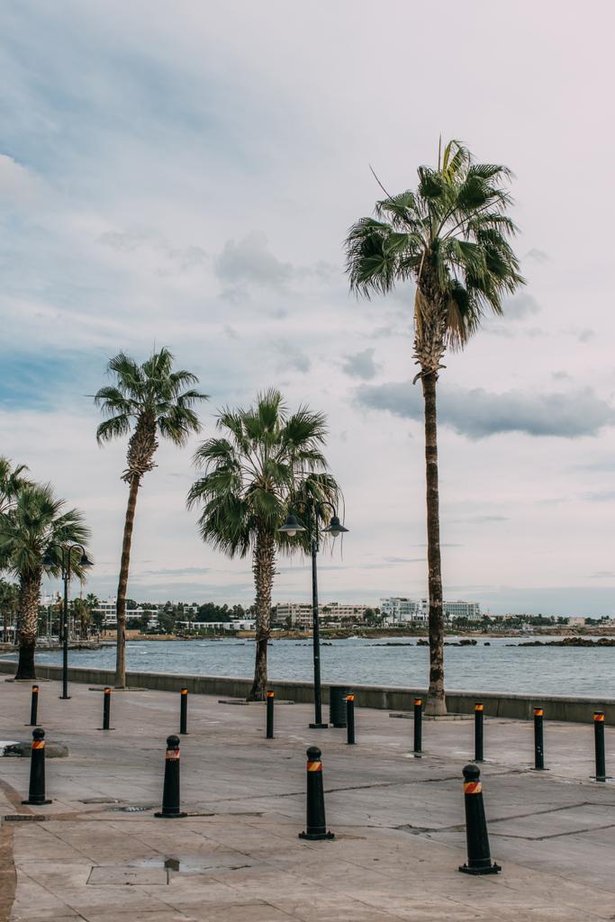 palmiers verts près de la mer Méditerranée contre le ciel avec des nuages
  - Photo, image