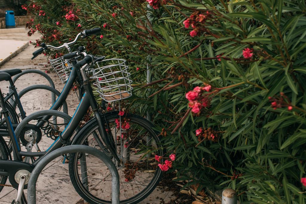 επιλεκτική εστίαση του ποδηλάτου κοντά ανθισμένα λουλούδια  - Φωτογραφία, εικόνα