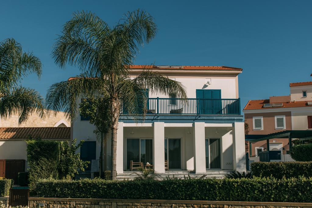 Grüne Palmen in der Nähe moderner Häuser gegen blauen Himmel - Foto, Bild