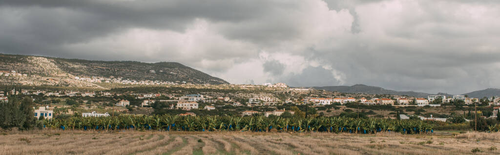 Dağlardaki evlerin yakınındaki yeşil ağaçların ve bitkilerin panoramik görüntüsü - Fotoğraf, Görsel