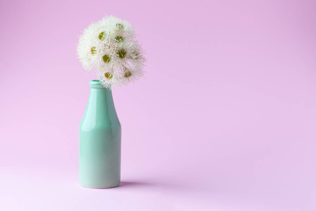 Fehér eukaliptusz virágok egyszerű zöld váza rózsaszín háttér másolási hely - Fotó, kép