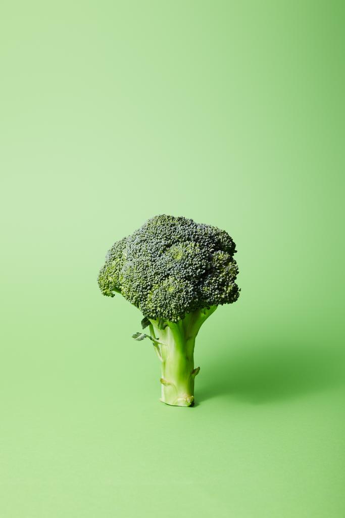 nyers zöld brokkoli zöld fénymásolási hellyel - Fotó, kép