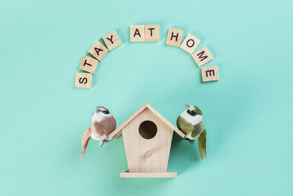 Two birds on birdhouse, stay at home in wood letters, coronavirus prevention concept on mint background. Copy space for text. - Photo, Image
