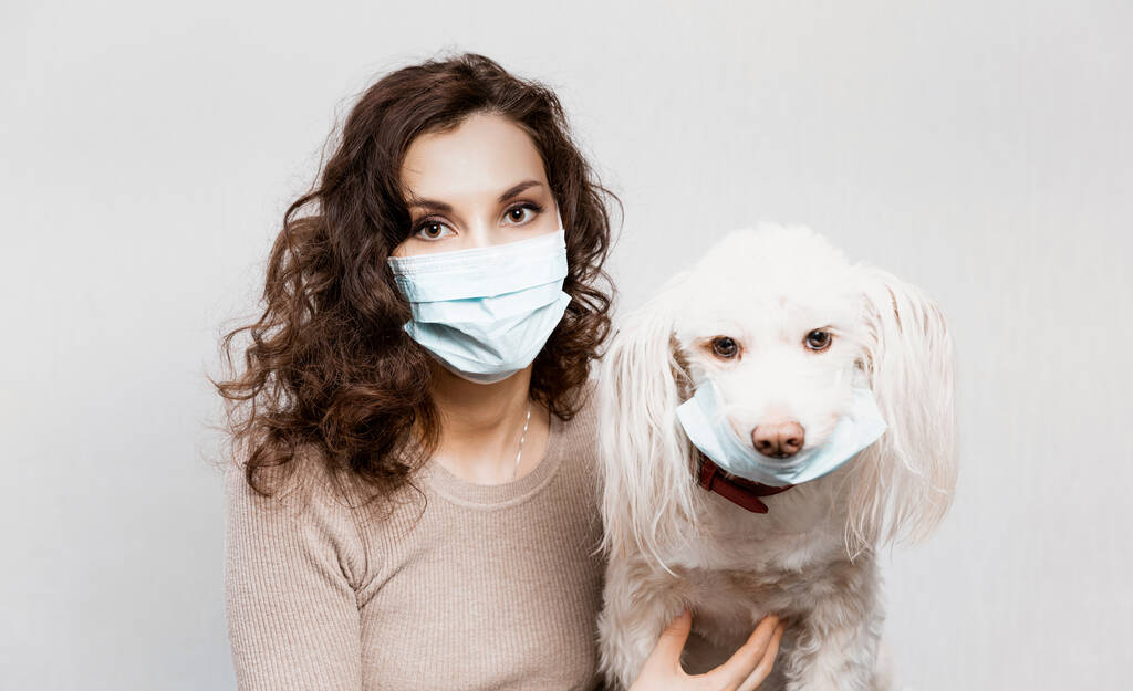 Koruyucu cerrahi maskeli bir kadın, yüz maskeli bir köpek besler. Coronavirus hastalığı COVID-19 evcil hayvanlar için tehlikelidir. Tıbbi maskeli bir kız ve koruyucu maskeli bir köpek. Koronavirüs salgını önlemi - Fotoğraf, Görsel