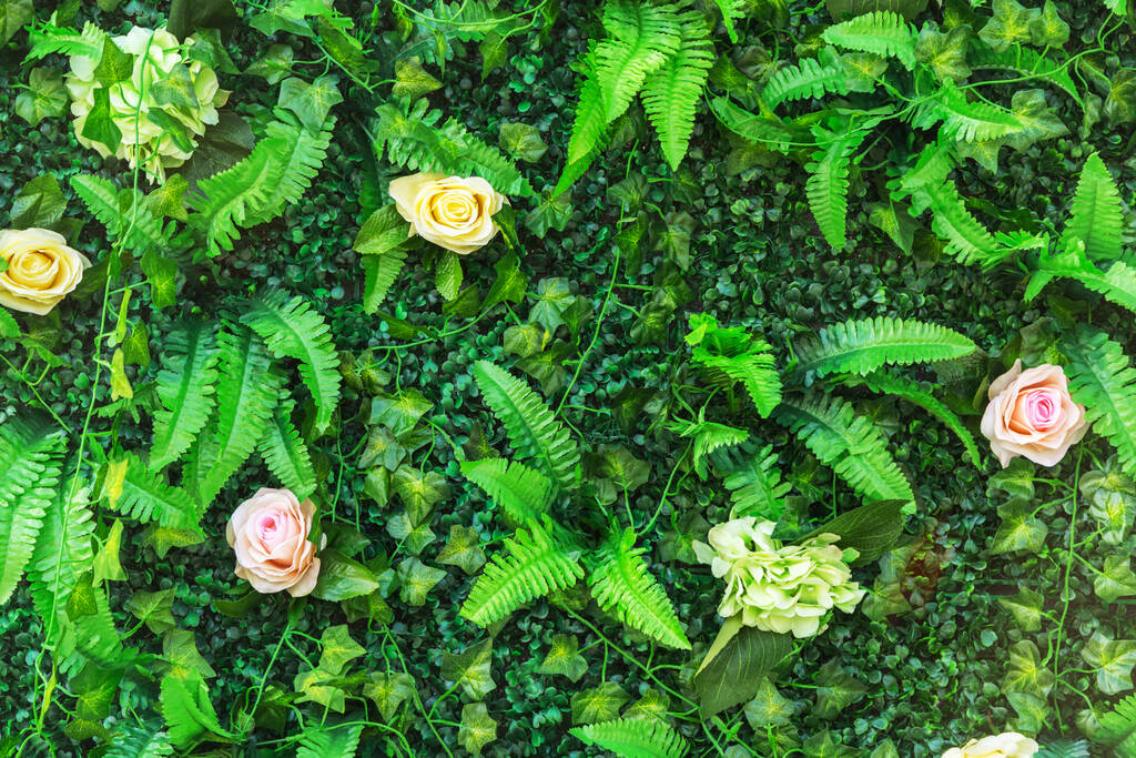 Λουλούδια τοίχο φυτό στην Κίνα, Ασία - Φωτογραφία, εικόνα
