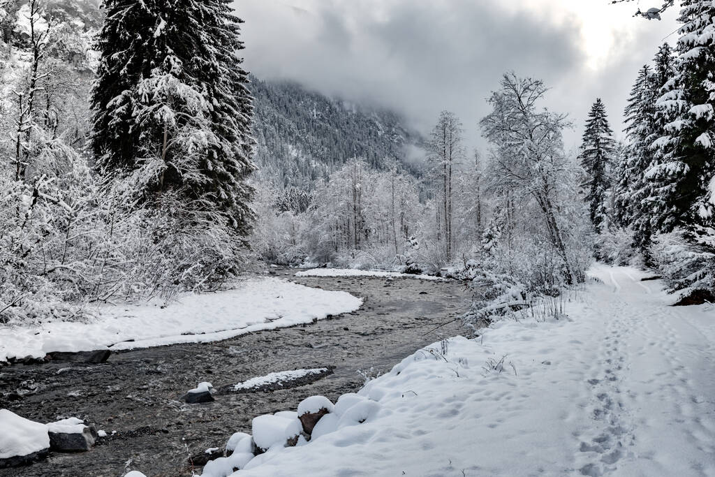 Escena blanca de bosque de nieve de belleza invernal en el interior, el río entre el bosque cubierto de nieve, panorama de la naturaleza salvaje fondo invernal, ramas en la helada
 - Foto, Imagen