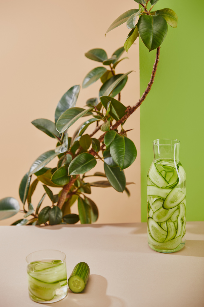 Vista ad alto angolo di vetro e bottiglia riempita con acqua e cetrioli affettati su sfondo beige e verde con pianta
 - Foto, immagini