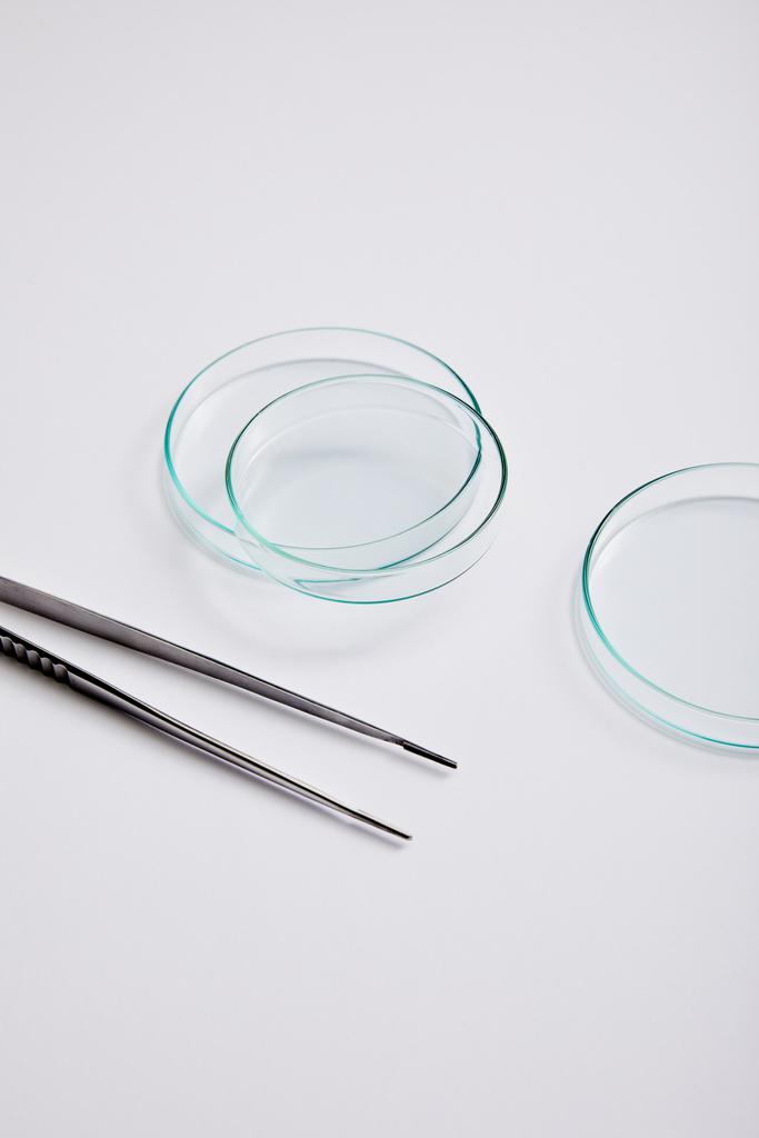 Laboratoriolaitteet sarja lasitavarat ja pinsetit harmaalla pohjalla
 - Valokuva, kuva