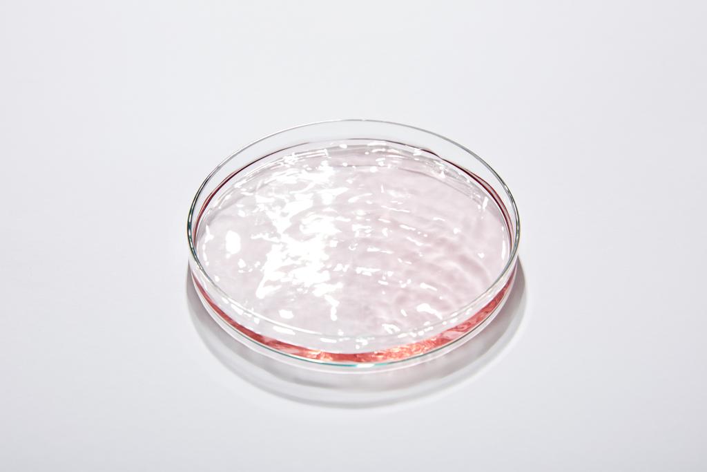 Vysokoúhlý pohled na laboratorní sklo s kapalinou na šedém pozadí - Fotografie, Obrázek