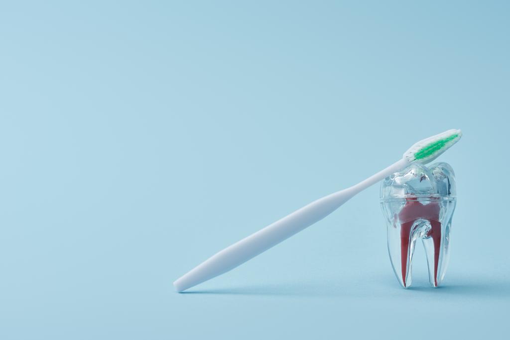 Πλαστική λευκή οδοντόβουρτσα και τεχνητό διαφανές πλαστικό δόντι σε μπλε φόντο - Φωτογραφία, εικόνα