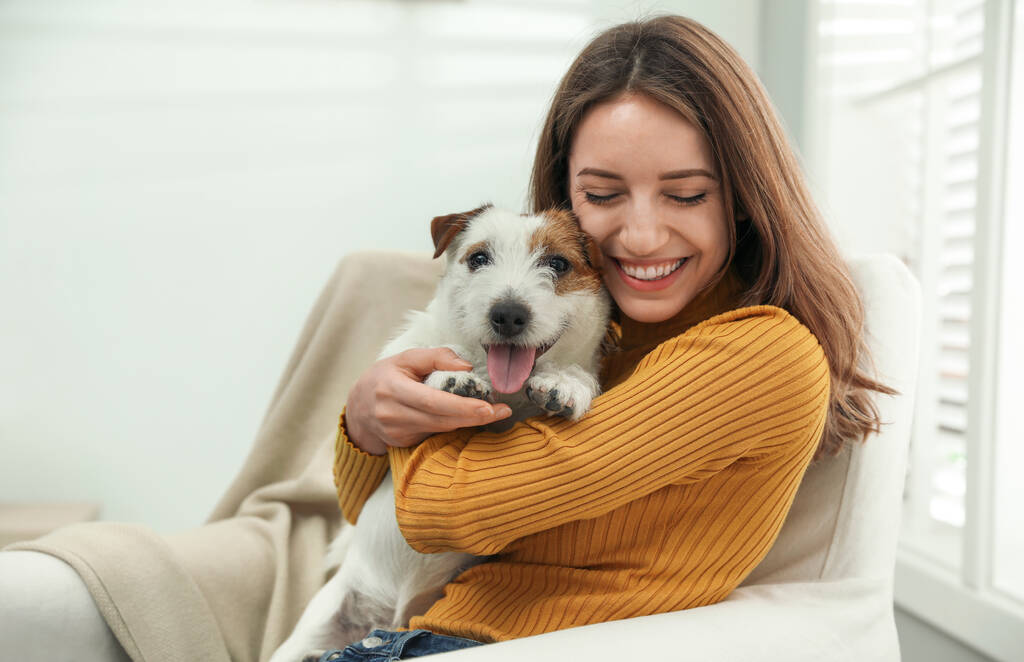 Evinde Jack Russell Terrier 'ı olan genç bir kadın. Sevimli hayvan - Fotoğraf, Görsel